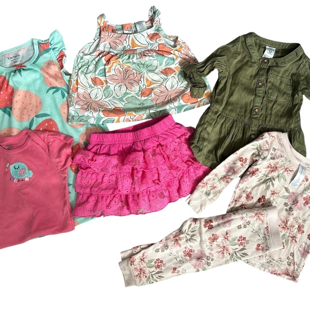 Carters Gerber girls clothes size 12 months